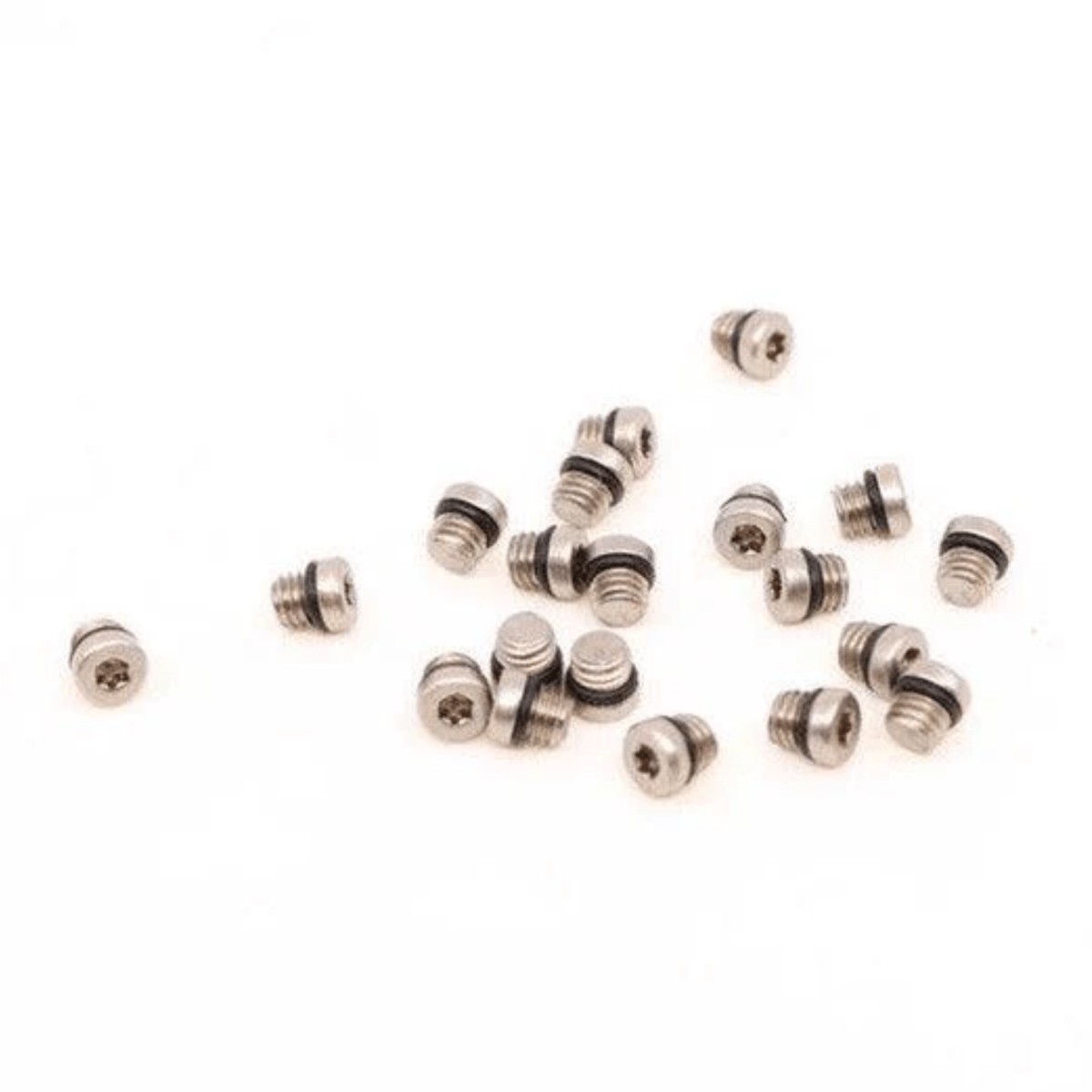 Sram Juicy Reserv Bleed ScrewO-Ring Stainless Steel 20Pcs